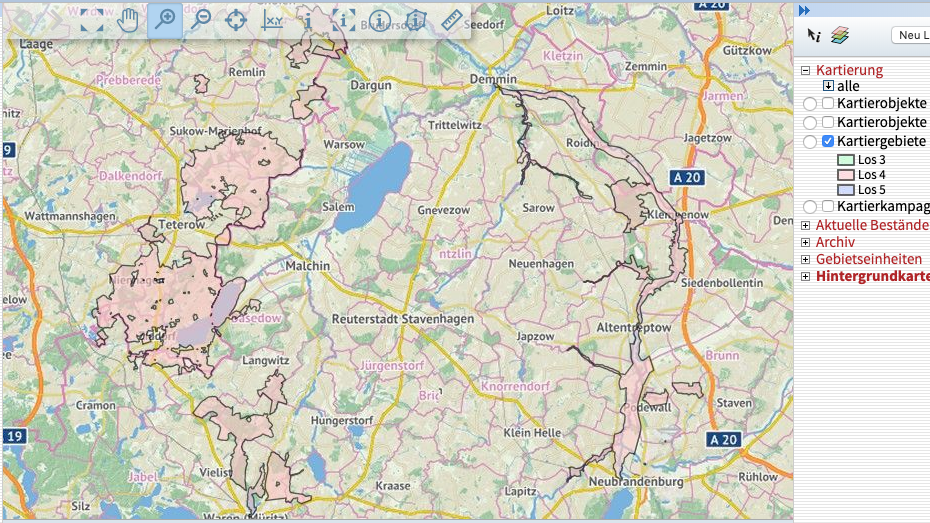 Kartiergebiet gezoomt in Karte Kartiergebiet gezoomt in Karte
